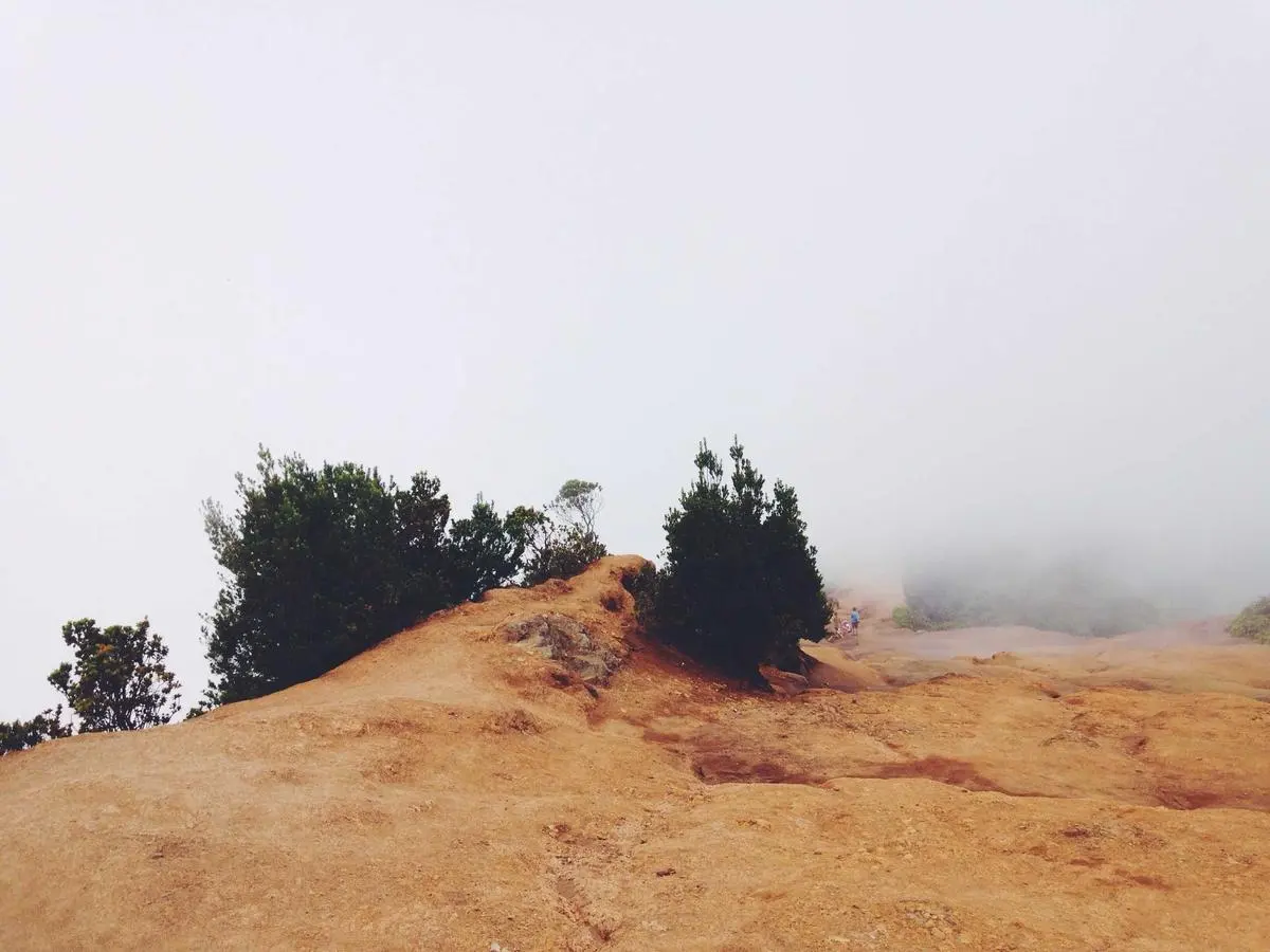 Subscription box — retention creative system — phase 3