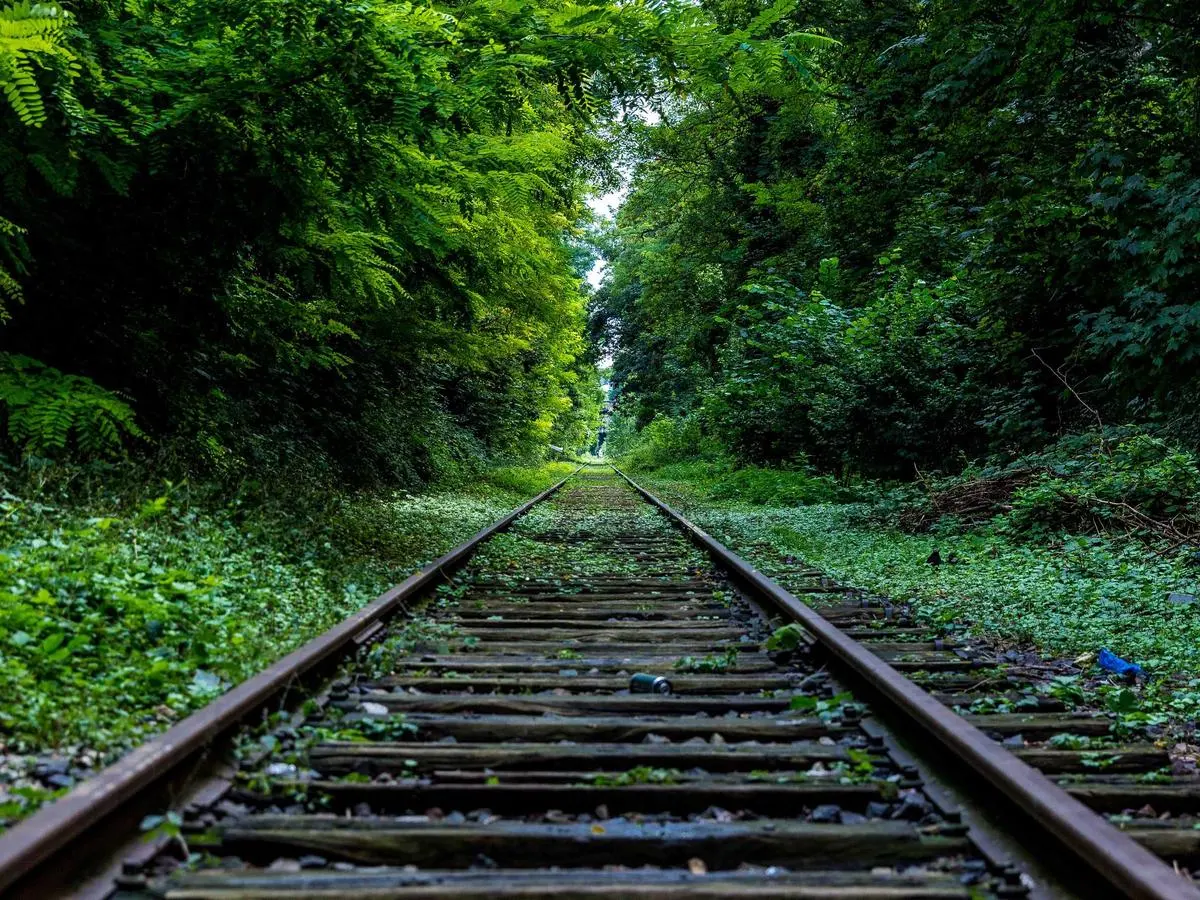 Investor microsite — narrative under NDA pressure — phase 10