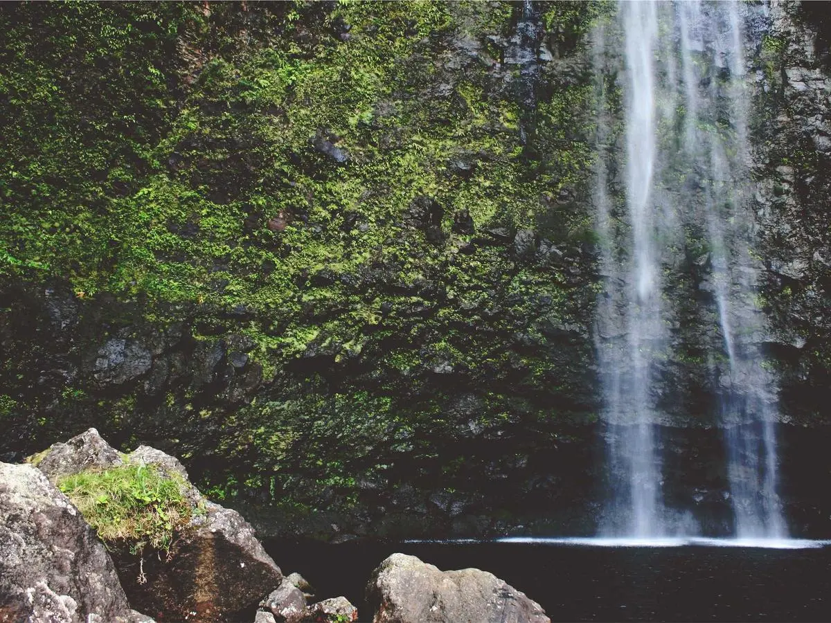 Subscription box — retention creative system — phase 2