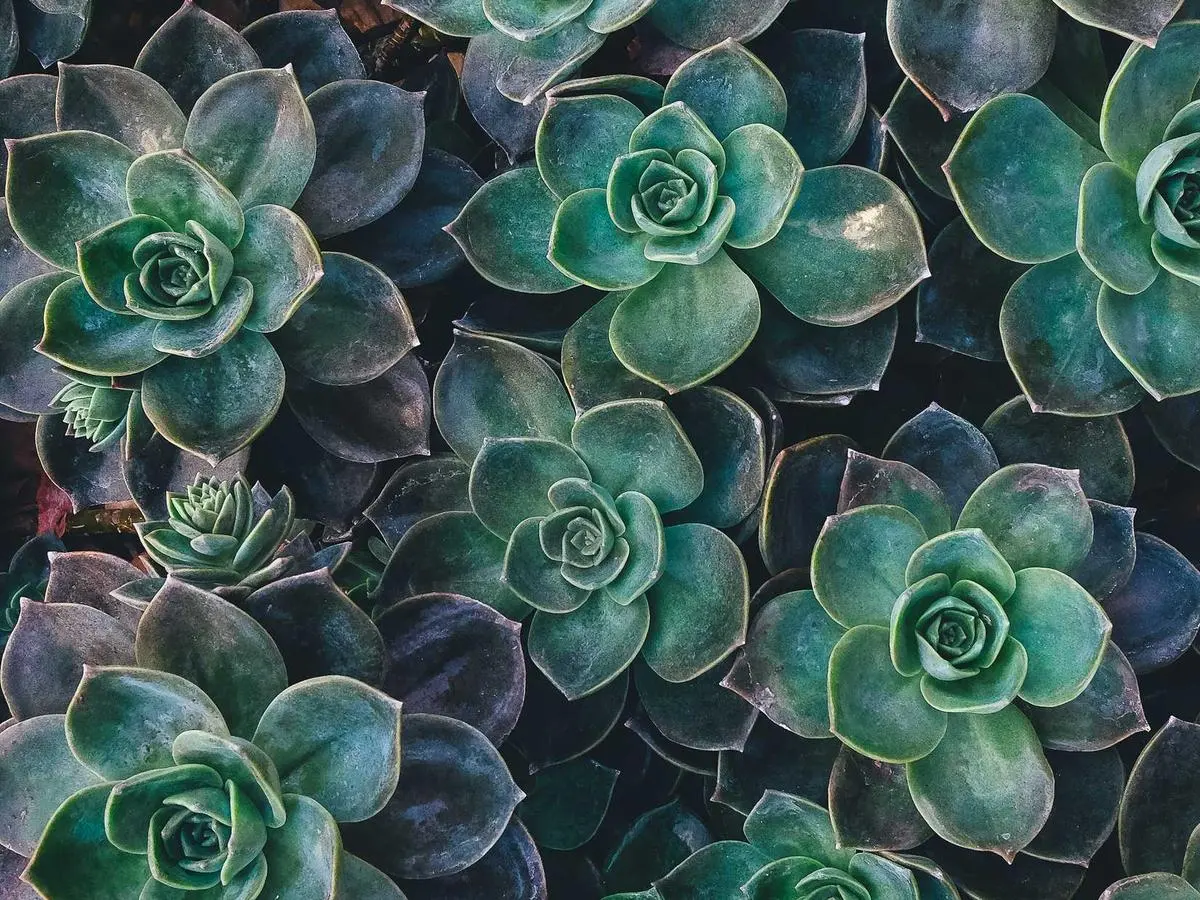 Subscription box — retention creative system — phase 14