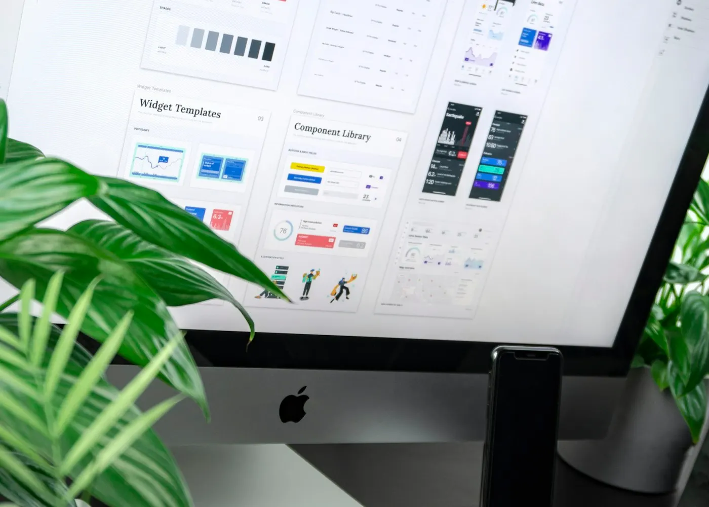 Category rename — verbal identity before visual roll-out
